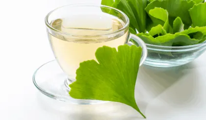 Ginkgo Biloba: Mejorando Tu Bienestar con un Elemento de la Naturaleza