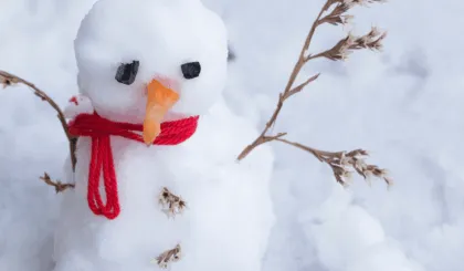 depresión estacional invernal
