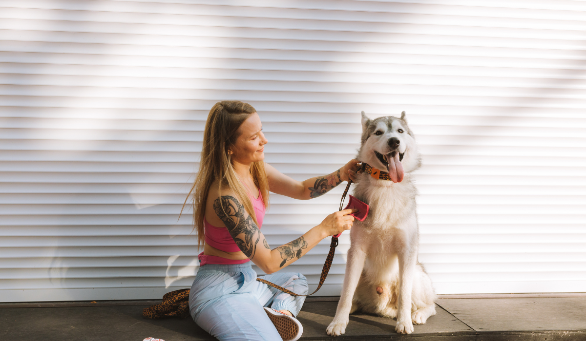 Cómo reducir la caída del pelo en tus mascotas (1)