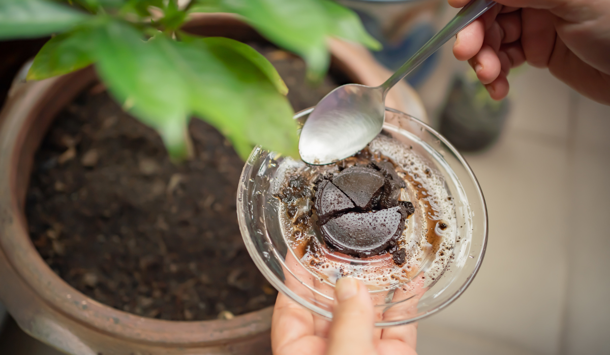 9 usos sorprendentes de los posos de café que no conocías