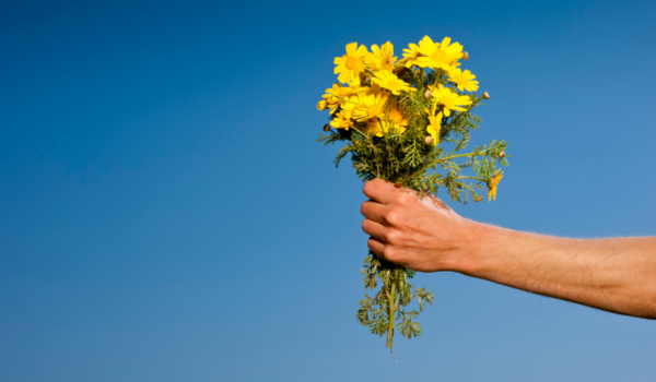 Tradición Moderna: El significado de regalar flores amarillas en primavera