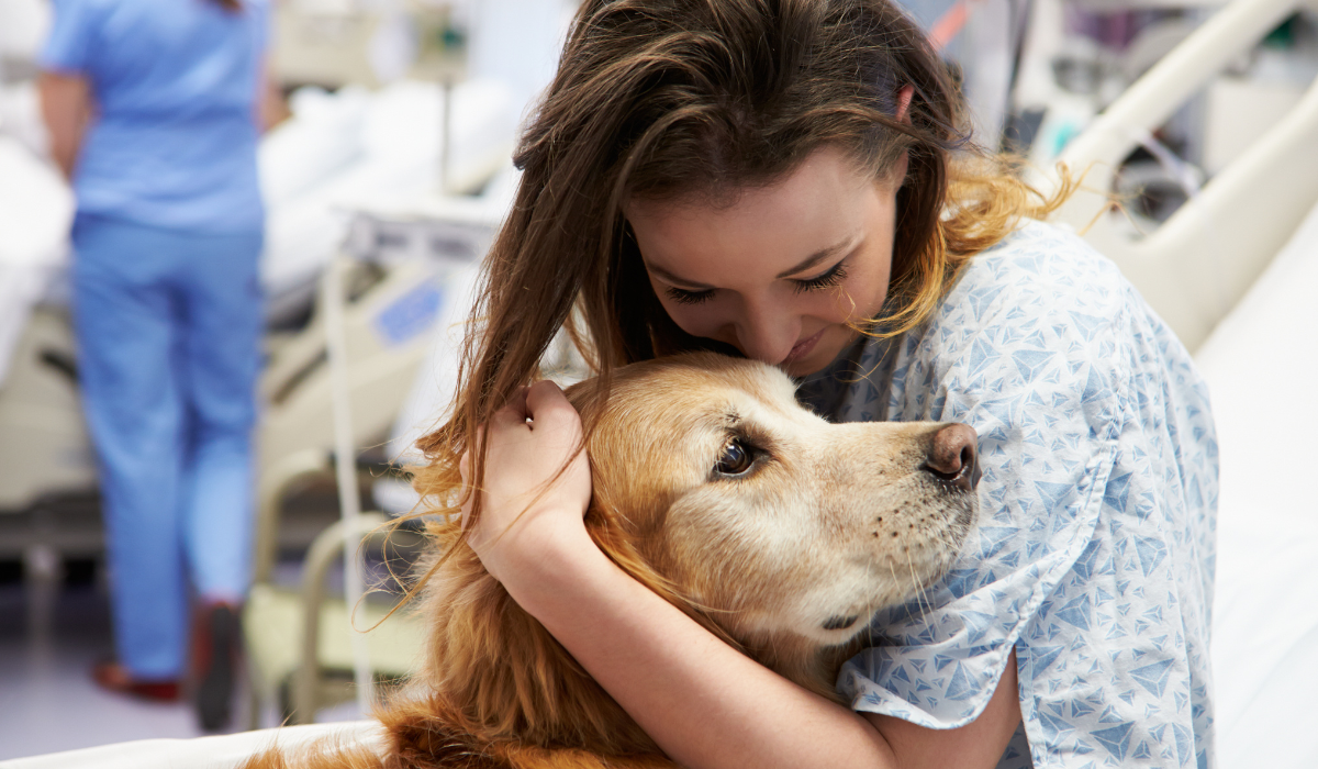 Perros terapeutas: transformando vidas en más hospitales