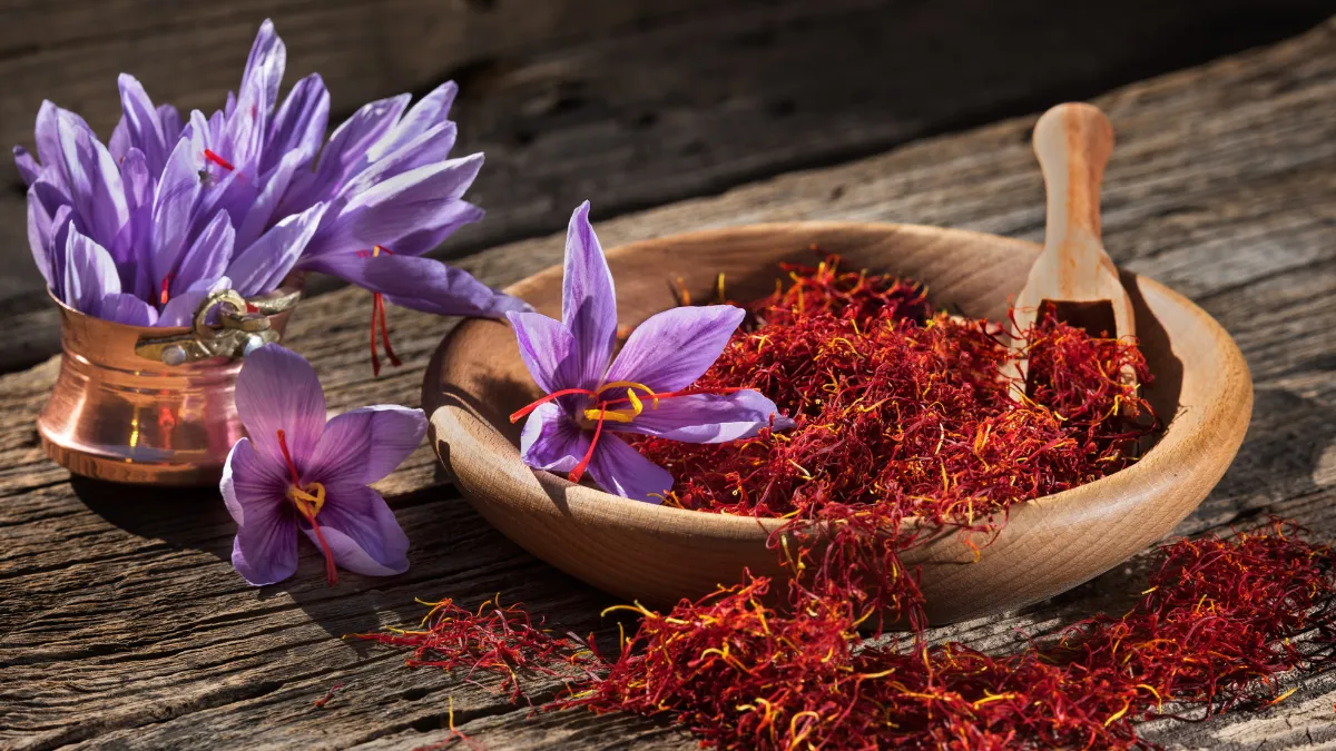 el azafrán mejora tu memoria y reduce el estrés