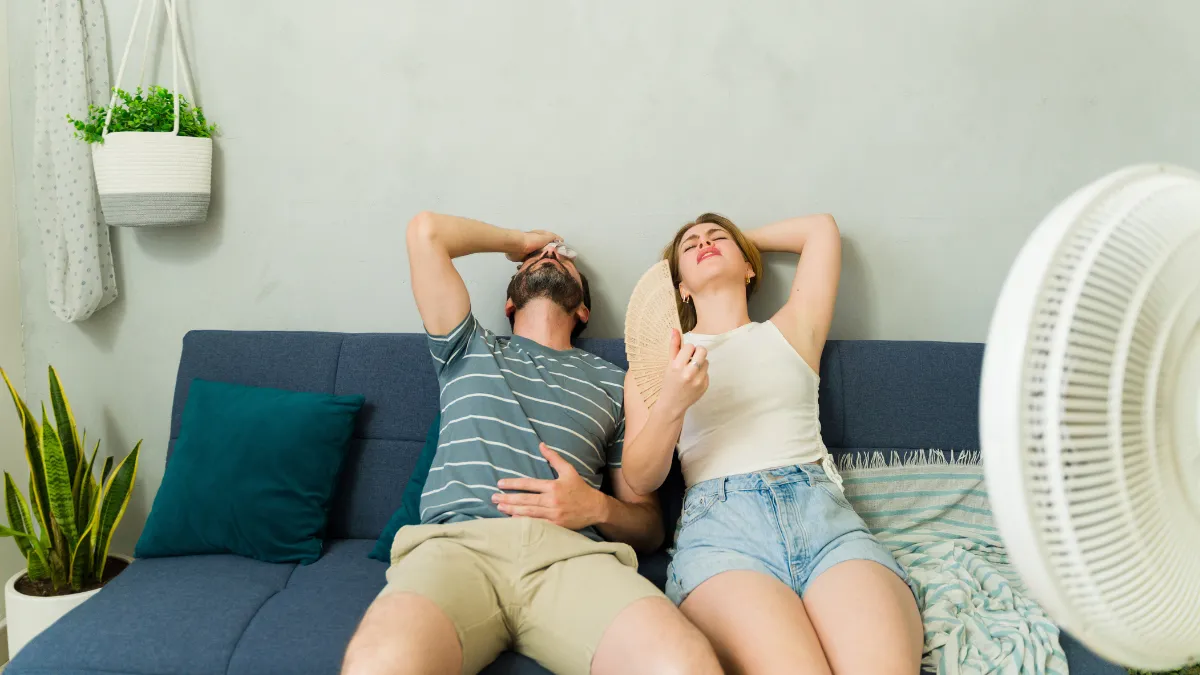 Alternativas ecológicas para enfriar tu hogar sin aire acondicionado