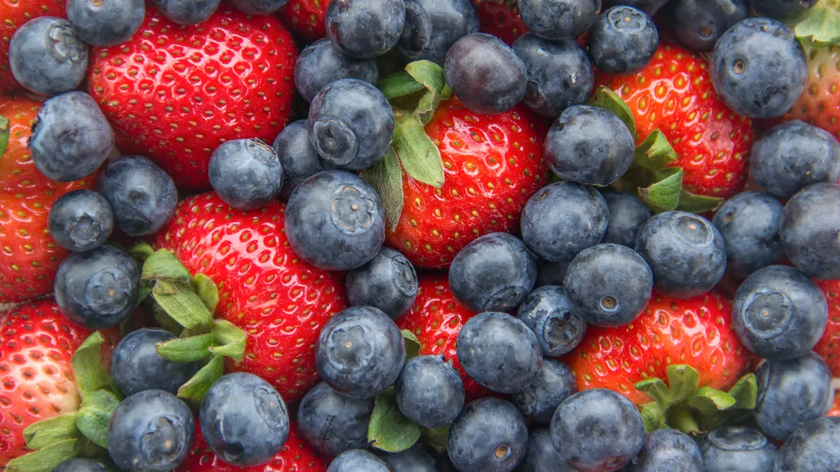 Esta fruta del bosque cuida tus riñones y reduce el colesterol malo de forma natural :arándano