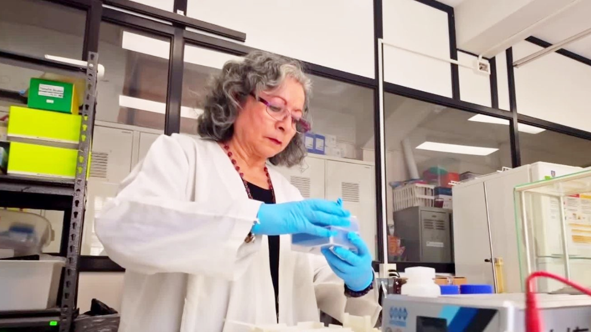 Científica chilena desarrolla probiótico que podría combatir el cáncer gástrico
