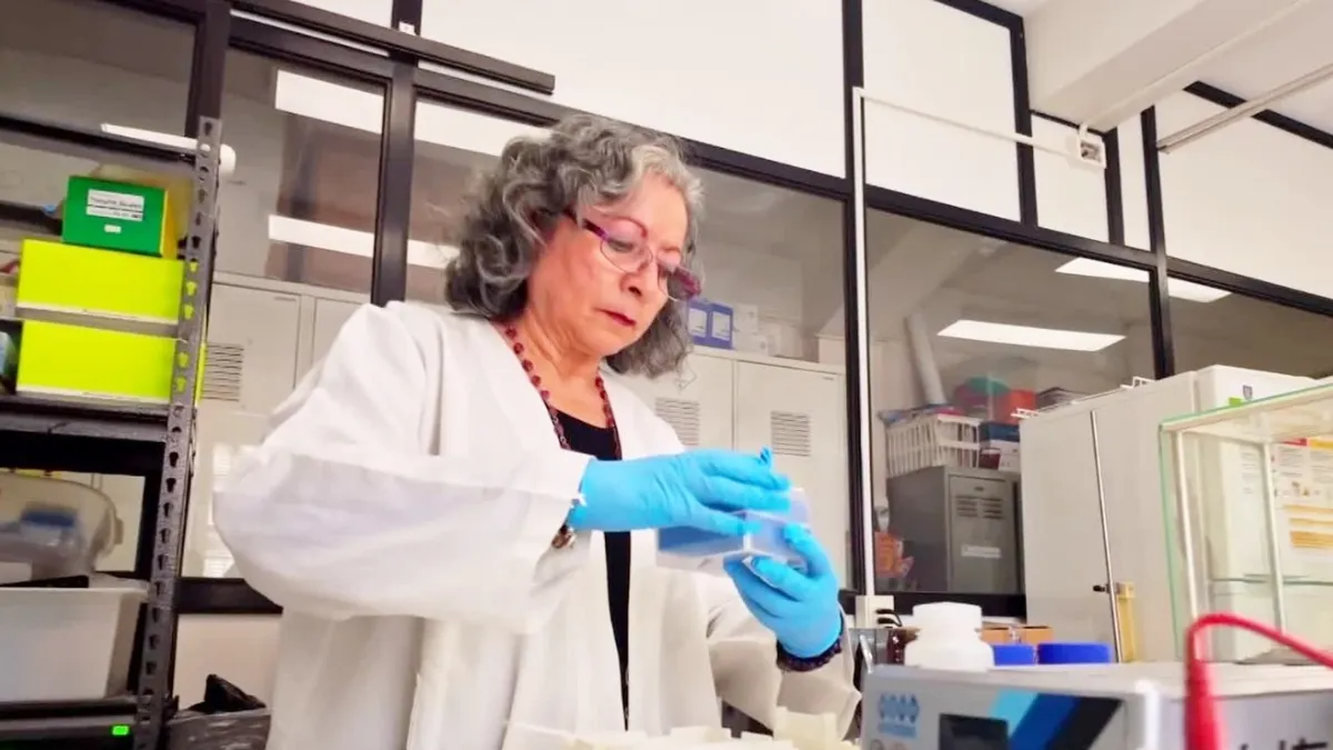 Científica chilena desarrolla probiótico que podría combatir el cáncer gástrico: Helicobacter pylori