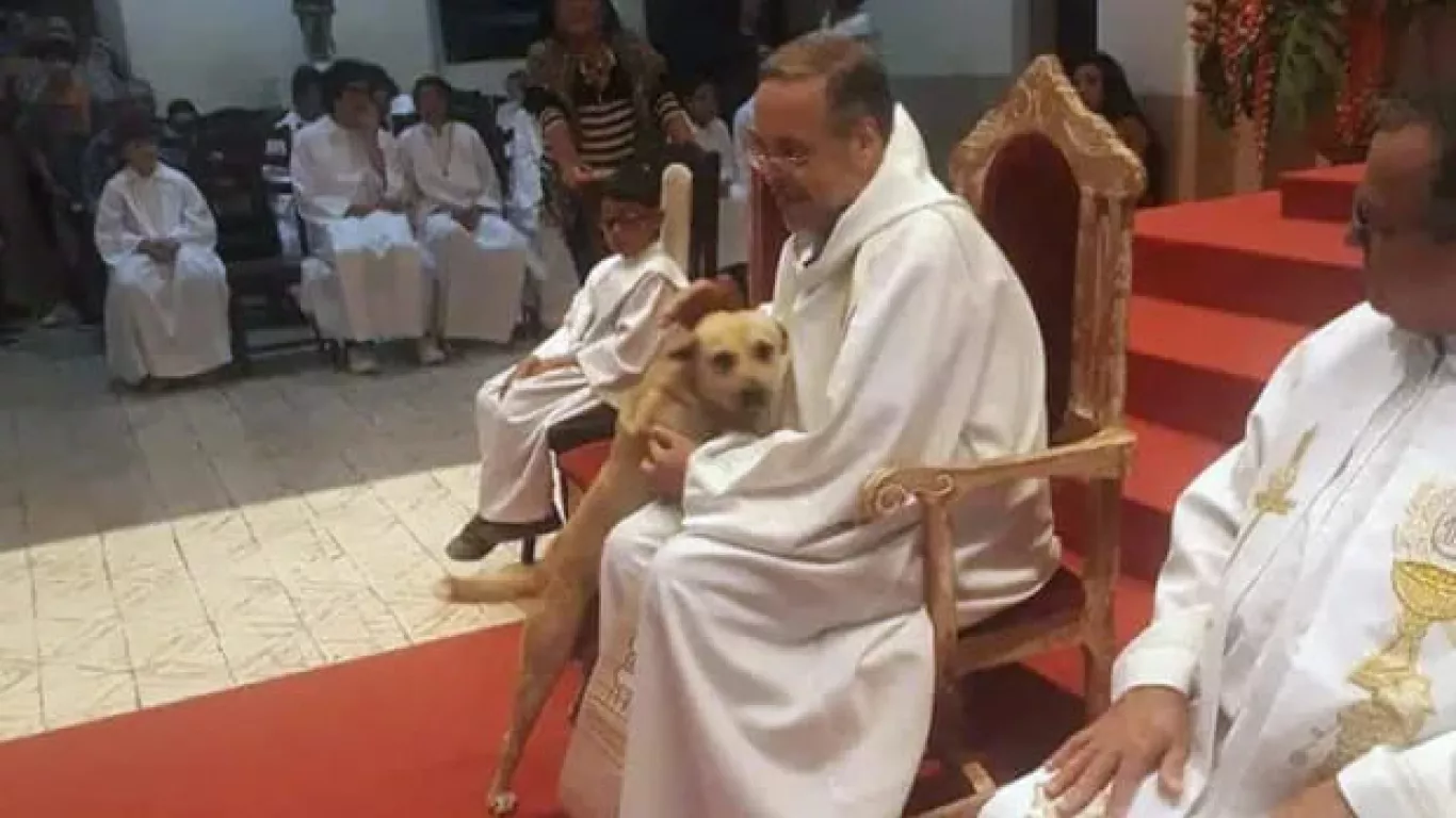 Sacerdote en Brasil impulsa adopción de perros callejeros en misa