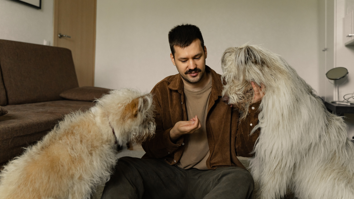 Casi lista la píldora que podría alargar la vida de tu perro