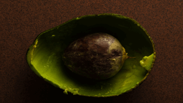 cáscara de aguacate
