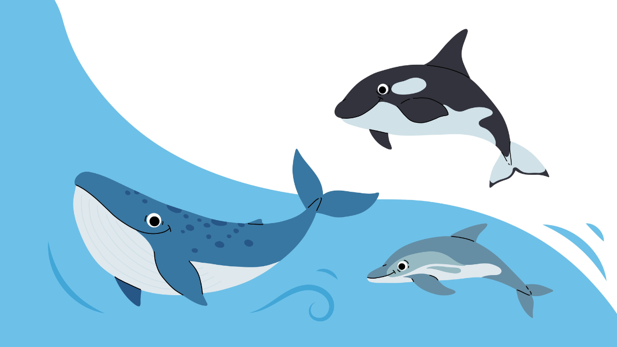 Día Mundial de las Ballenas y los Delfines (1)