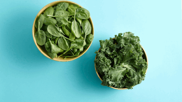 Kale vs. Espinaca: ¿cuál es más nutritiva?