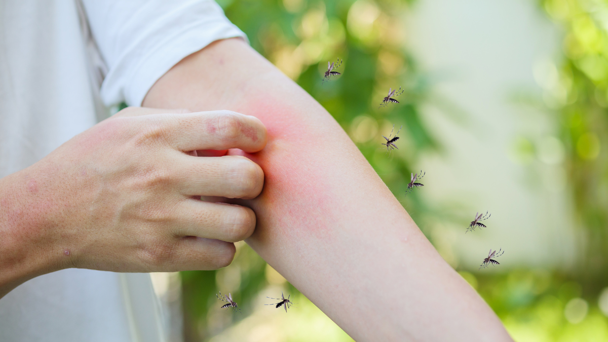 Así es como eligen a sus presas: Los mosquitos si tiene una preferencia