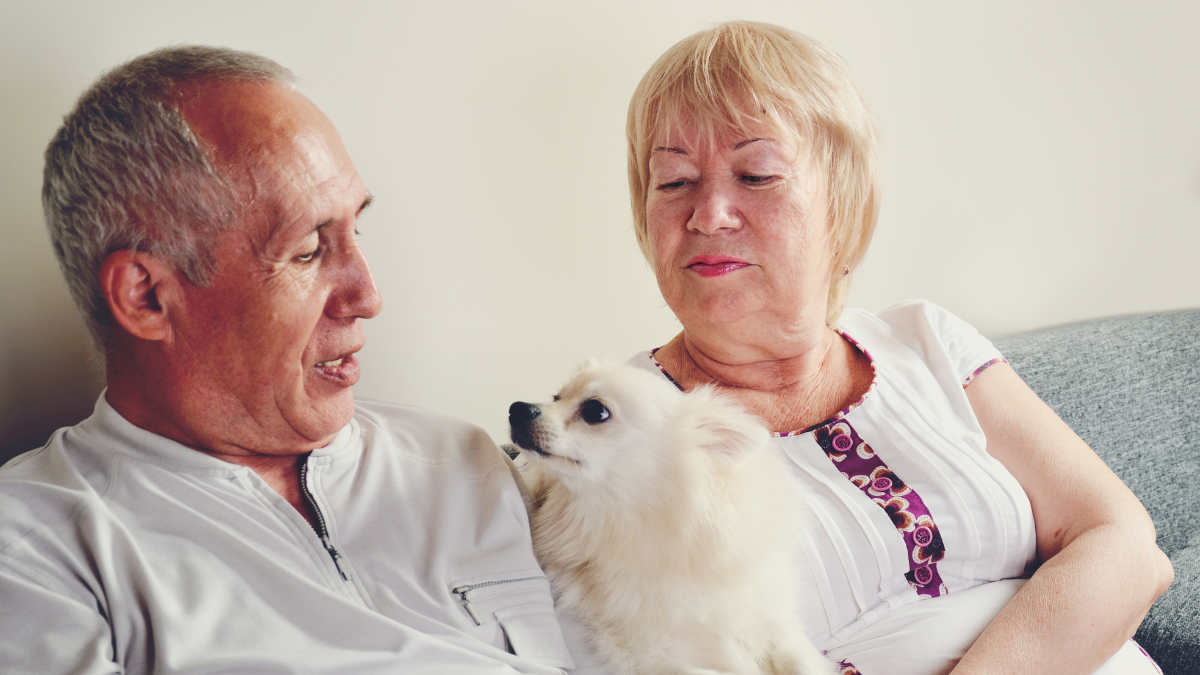 ¿Más de 60? Así puedes bajar la azúcar en sangre