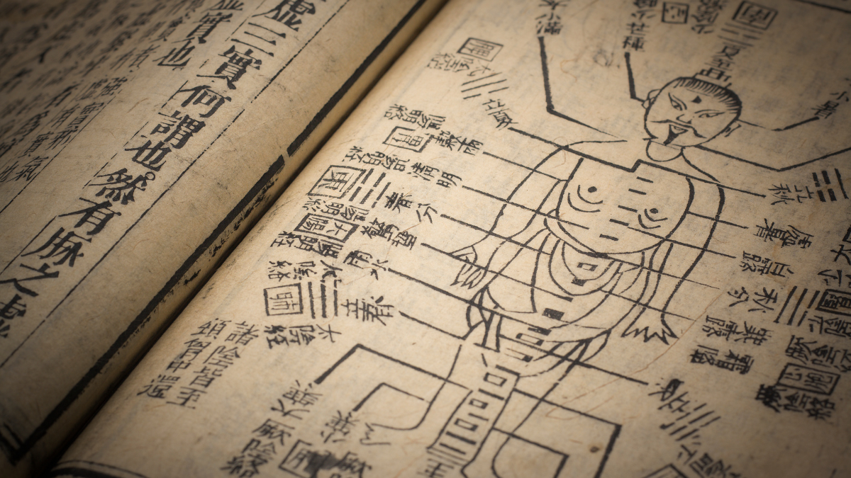 Por qué enfermamos según la medicina tradicional China