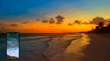 playas mx