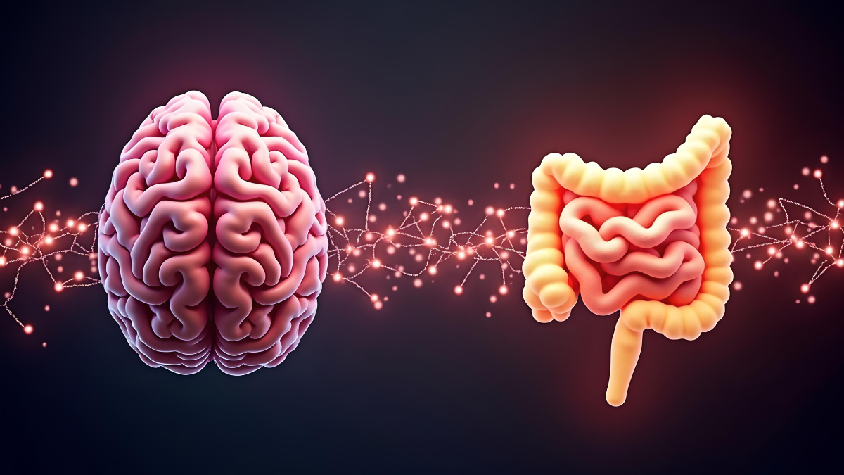 El sexto sentido: cómo el intestino influye en el cerebro y apetito
