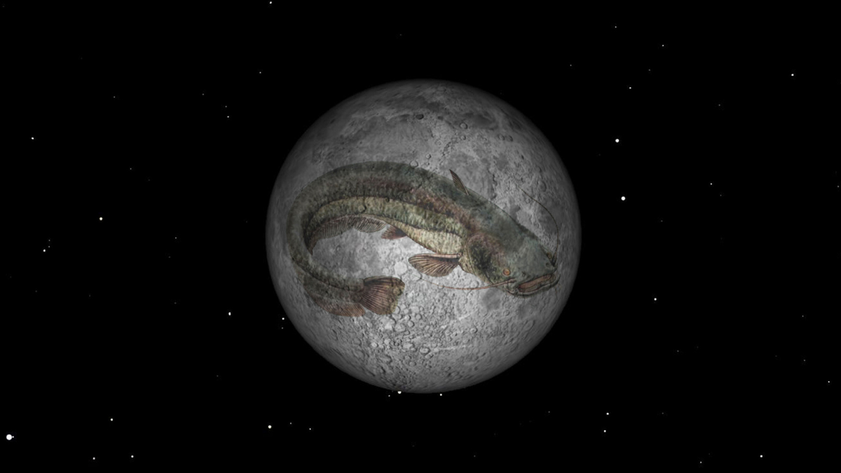 Todo sobre la Luna de Esturión 2025, la luna llena de agosto