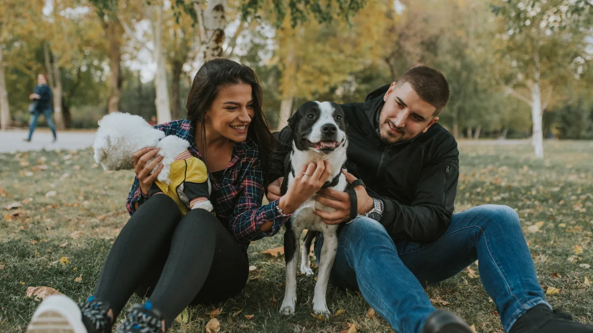 CDMX aprueba custodia compartida de mascotas en divorcios