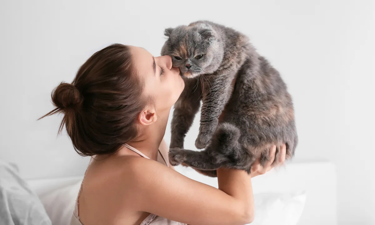 El impacto de tener un gato en el cerebro