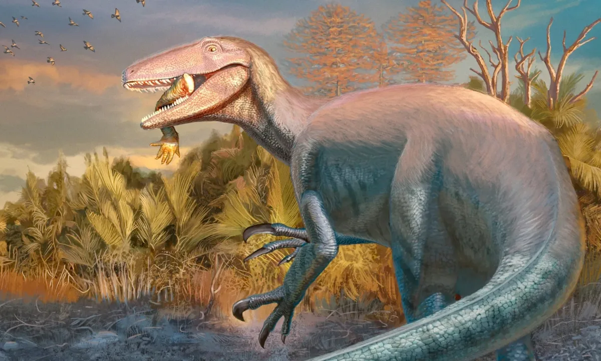Joaquinraptor casali, un megaraptor que fue enterrado