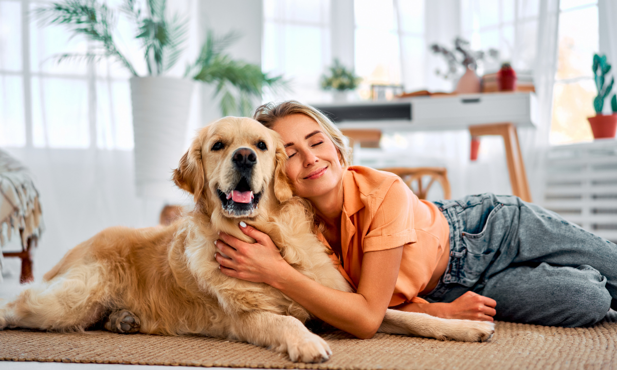 Un intestino sano para tu mascota: el secreto de su bienestar