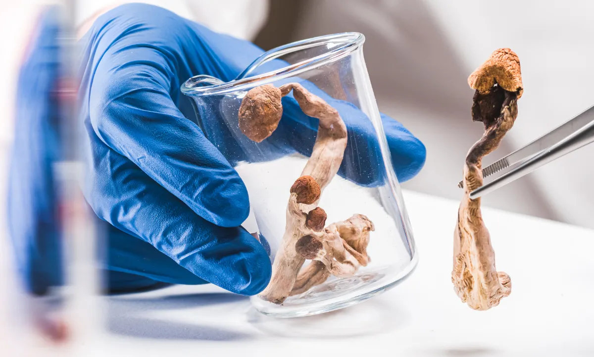 psilocibina para la depresión