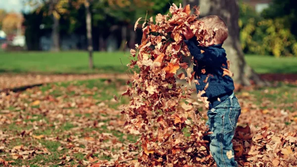 El otoño no es solo una estación de transición, sino una época rica en contrastes. Marca el fin de un ciclo activo y el inicio de una pausa necesaria.