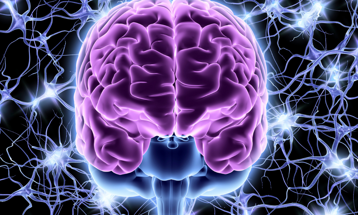 Dolor Crónico: Identifican circuito cerebral para silenciarlo