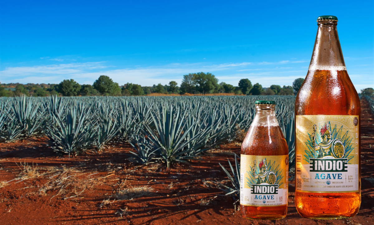 Agave y cerveza, fusión con esencia mexicana