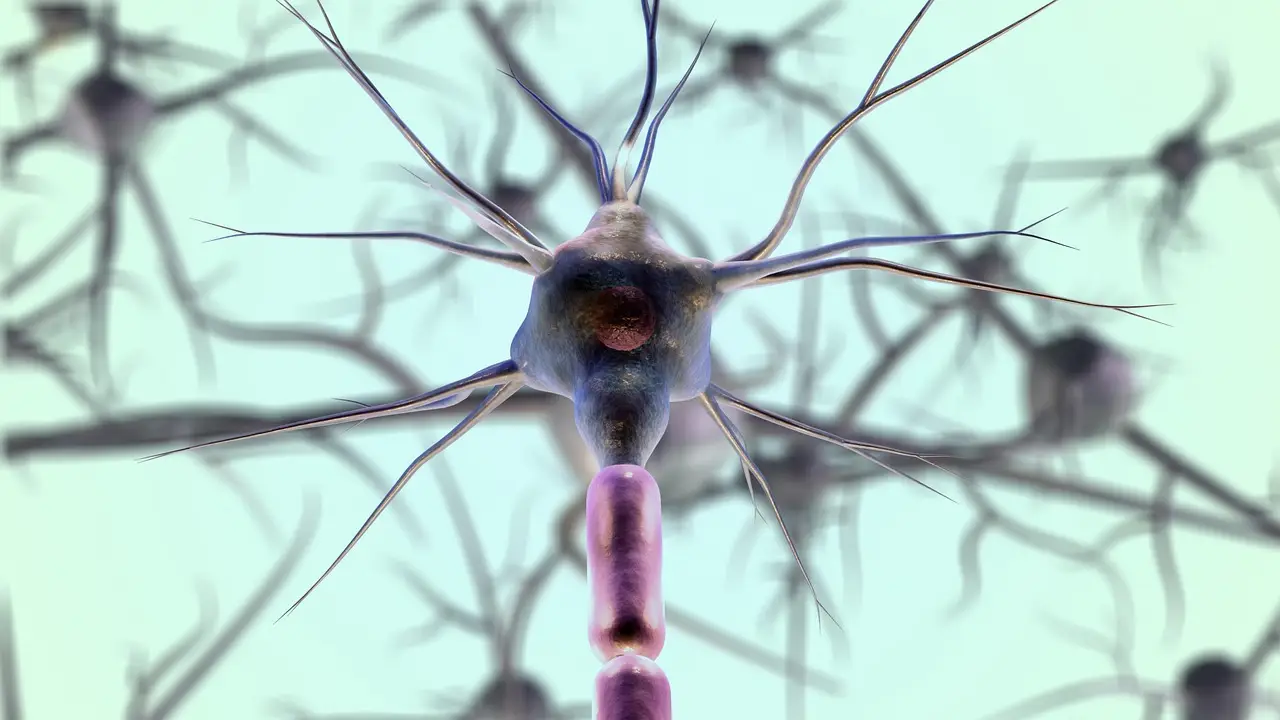 Crean neuronas artificiales, pero funcionales