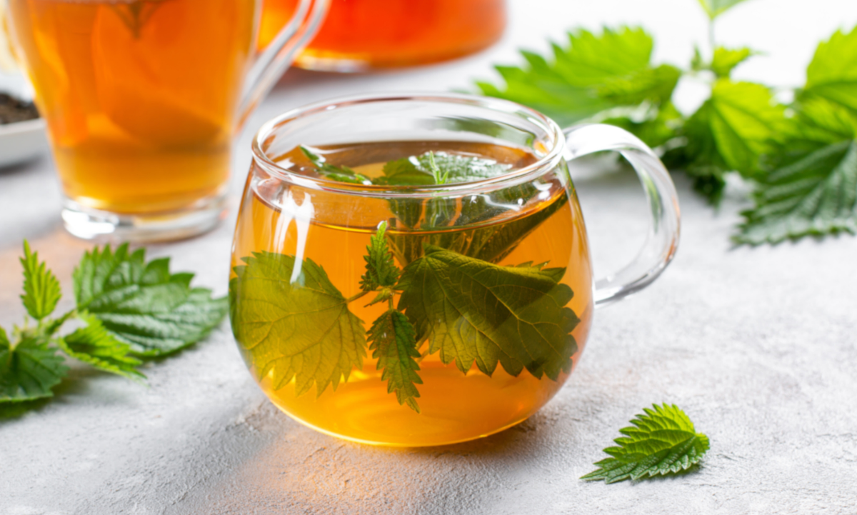 Té de ortiga: beneficios, precauciones y cómo prepararlo correctamente