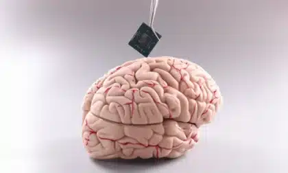 un chip cerebral capaz de transformar señales neuronales en voz digital será probado en humanos. Te contamos cómo funciona.
