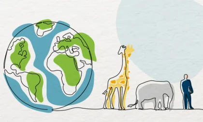 Día Mundial One Health