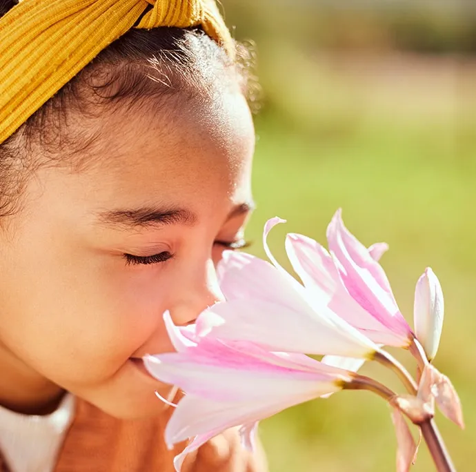 Aromas y emociones, El aroma nos activa las emociones