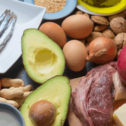 Dieta alta en grasas