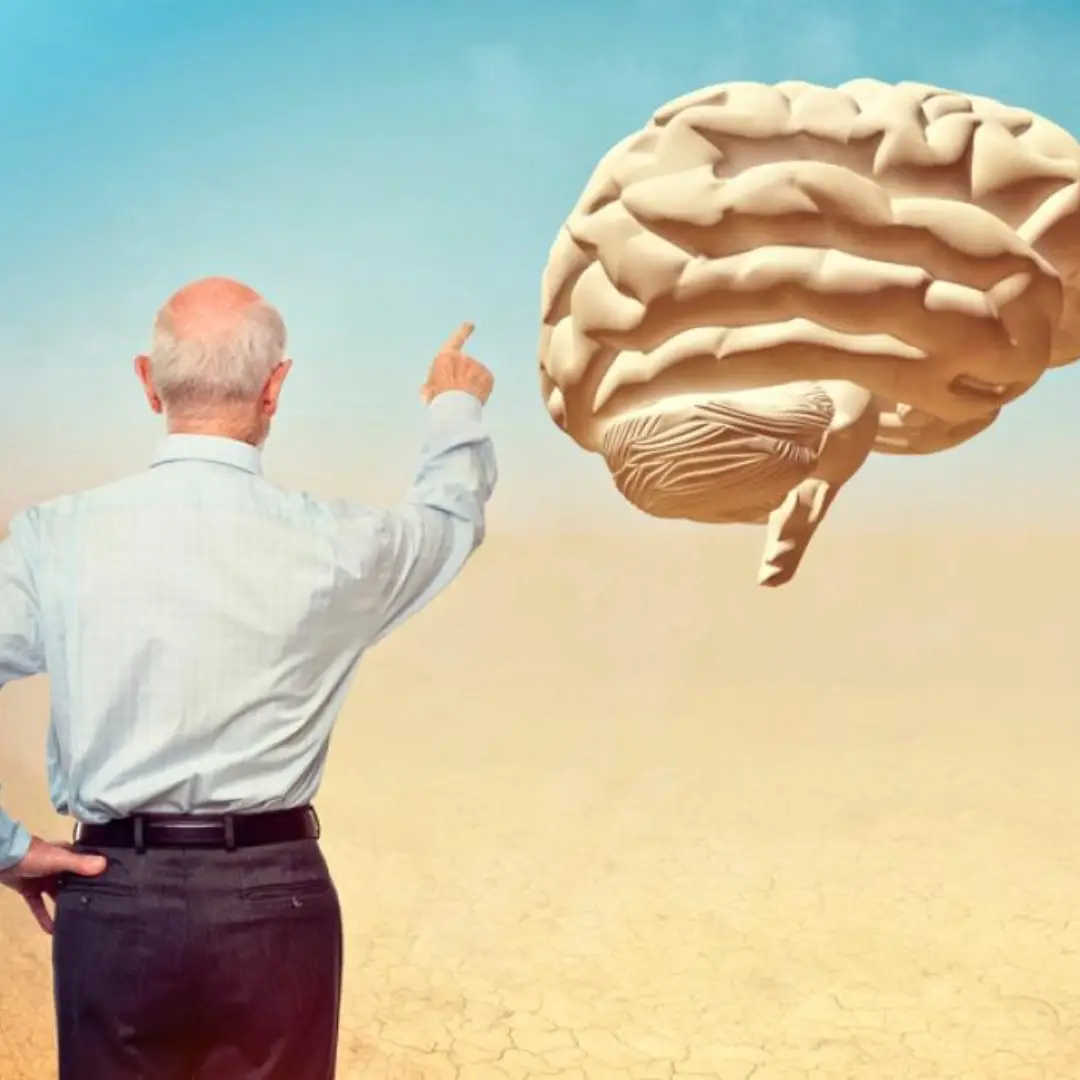 El cerebro se atrofia si no te mueves: ¿cómo evitar el deterioro en adultos mayores?