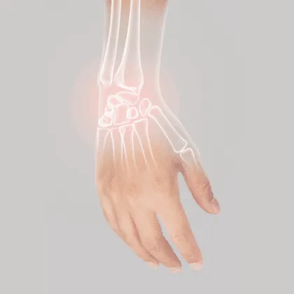 Conoce la relación entre la vitamina D y el calcio para una mejor absorción. ¡Optimiza tu ingesta y cuida de tus huesos