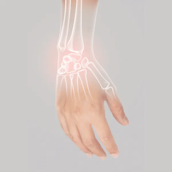 Conoce la relación entre la vitamina D y el calcio para una mejor absorción. ¡Optimiza tu ingesta y cuida de tus huesos