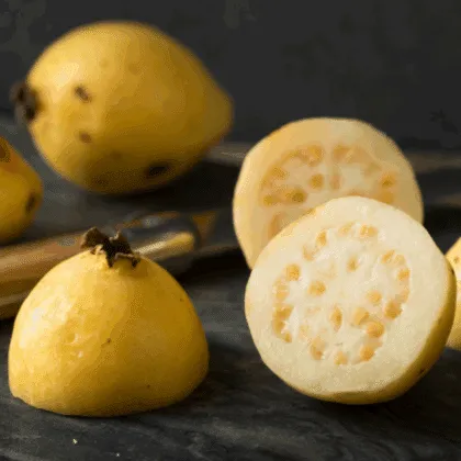 Guayaba