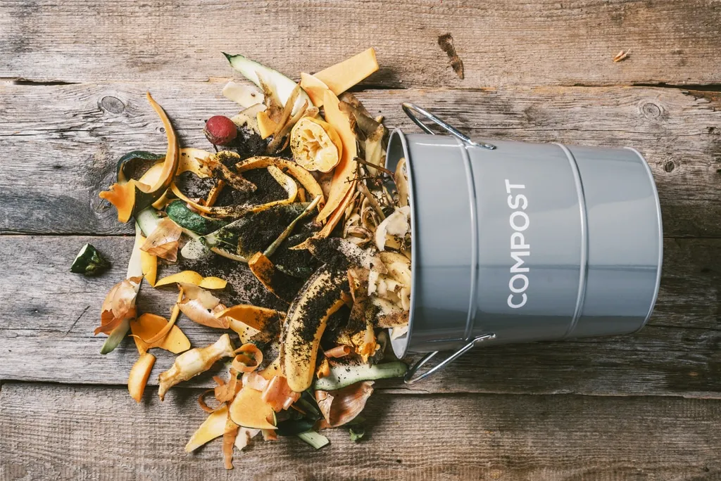 Los 6 pasos para hacer composta casera