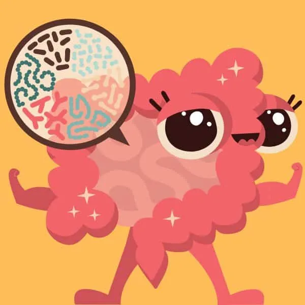 Microbioma el intestino es vital