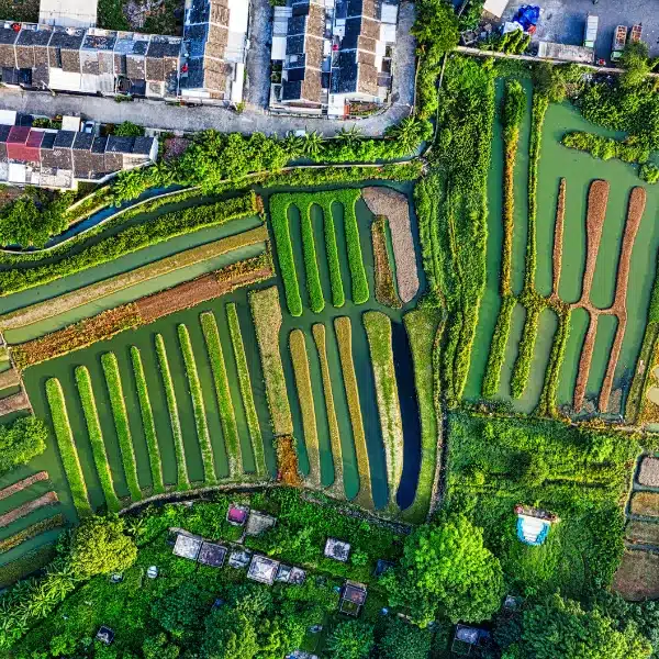 Porque el lugar donde vives