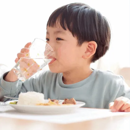 Prebióticos y probióticos nutricion infantil