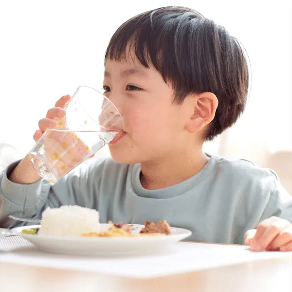 Prebióticos y probióticos nutricion infantil