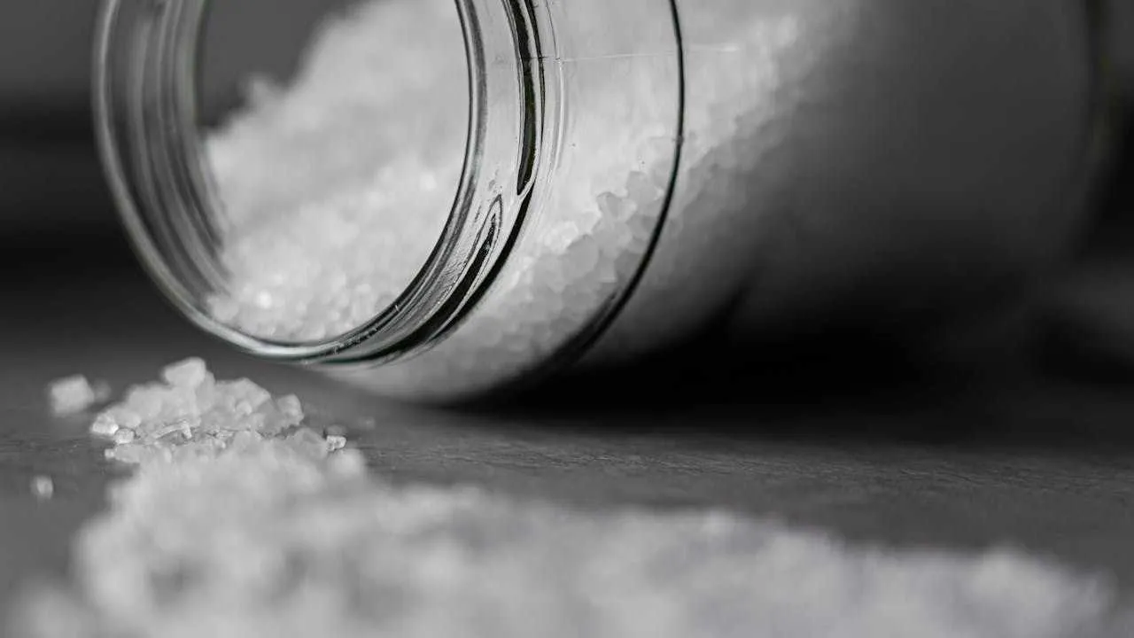 Sustitutos de sal para reducir el consumo de sodio