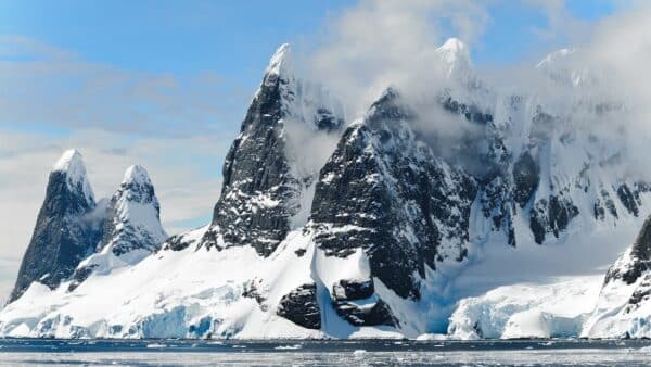 El descubrimiento del siglo: encuentran en la Antártida animales acuáticos jamás vistos
