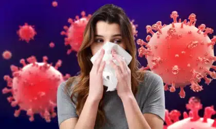 vacuna México para súper gripe