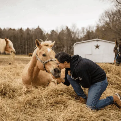 Terapia Animales al rescate