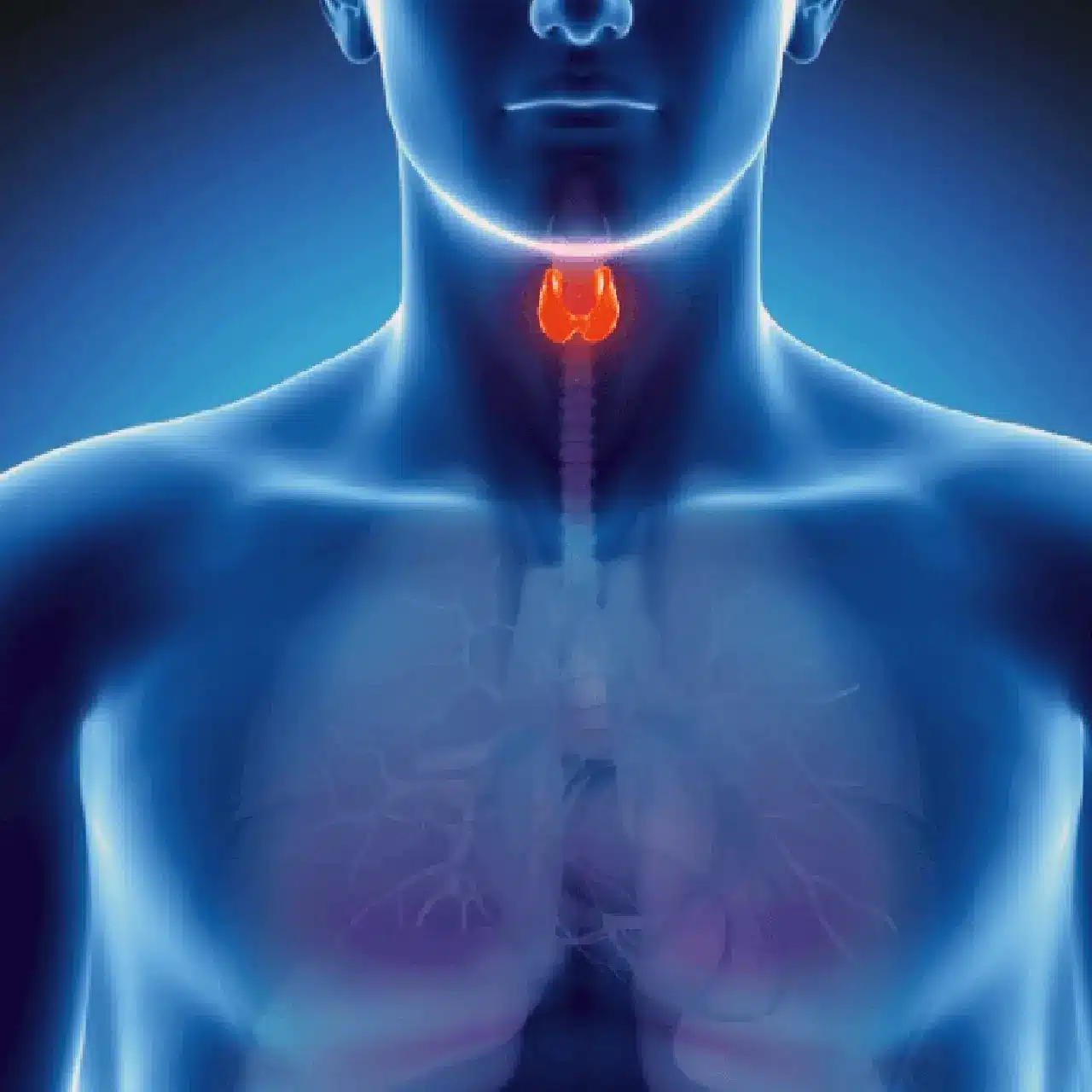 detalles hipertiroidismo